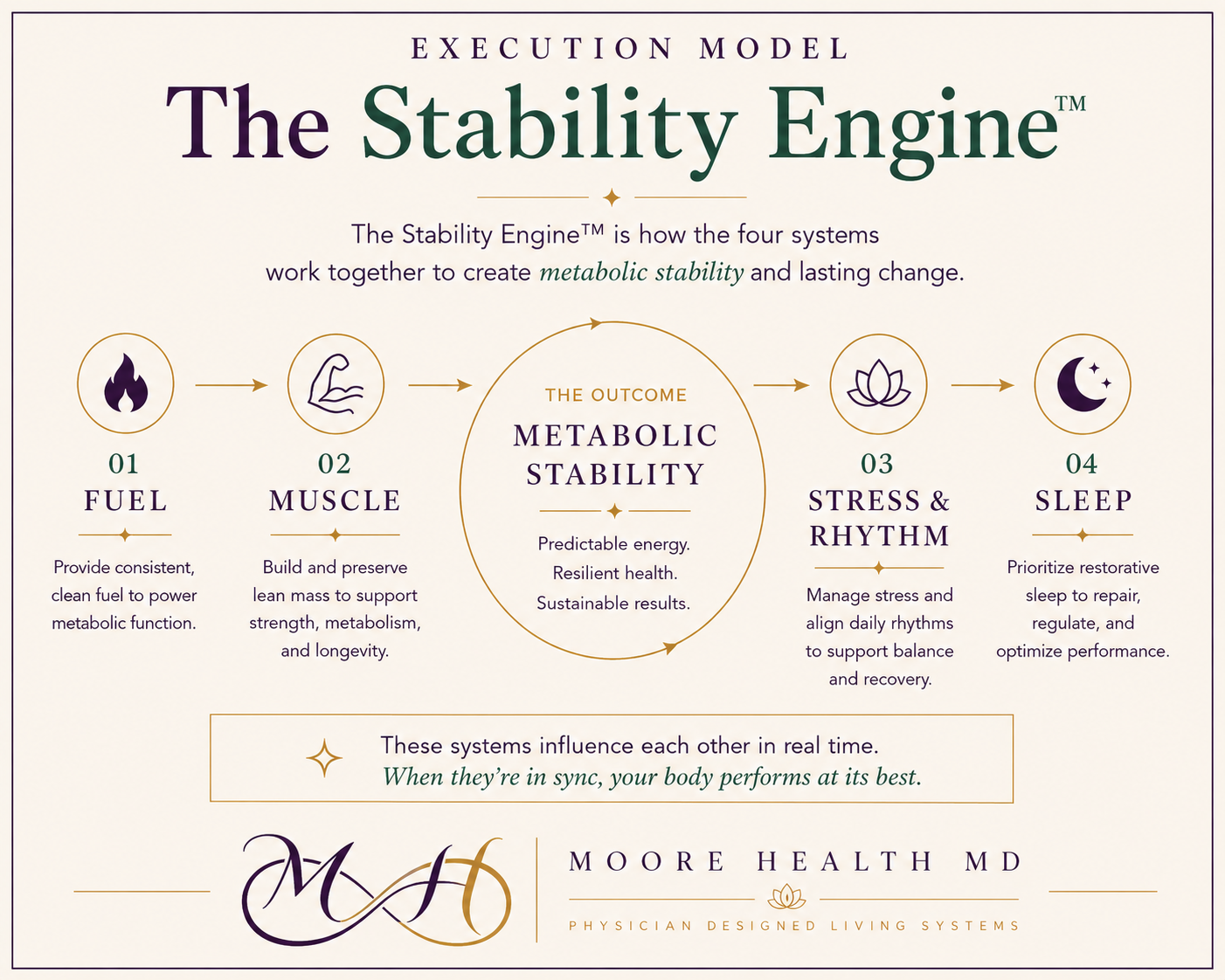 The Stability Engine — the four systems (Fuel, Muscle, Stress & Rhythm, Sleep) that work together to create metabolic stability, Moore Health MD's execution model for the Metabolic Governance Method